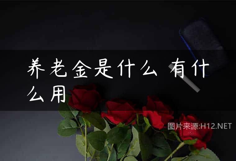 养老金是什么 有什么用