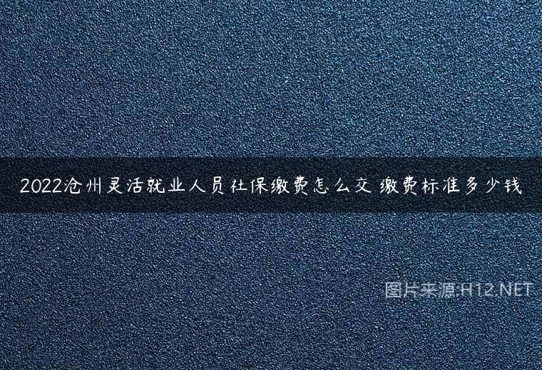 2022沧州灵活就业人员社保缴费怎么交 缴费标准多少钱