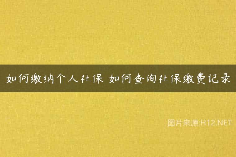 如何缴纳个人社保 如何查询社保缴费记录